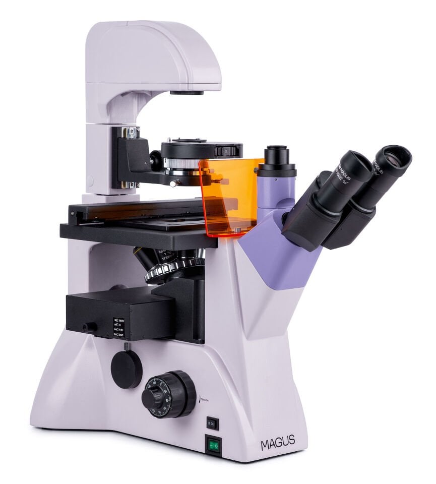 MAGUS Lum V500L Floresan İnverted Mikroskop