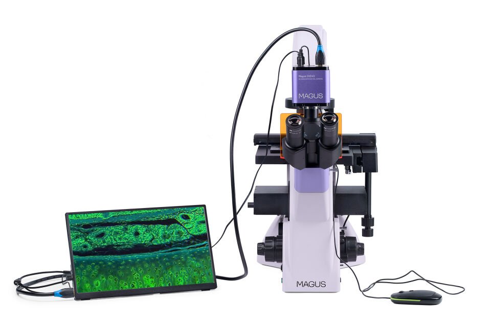 MAGUS Lum VD500L LCD Floresan İnverted Dijital Mikroskop