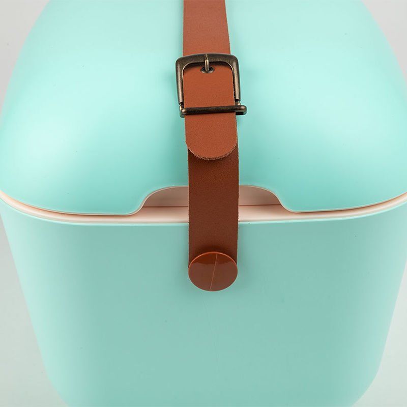 Polarbox Verde Agua Rosa Classic - 12L Buzluk Cooler