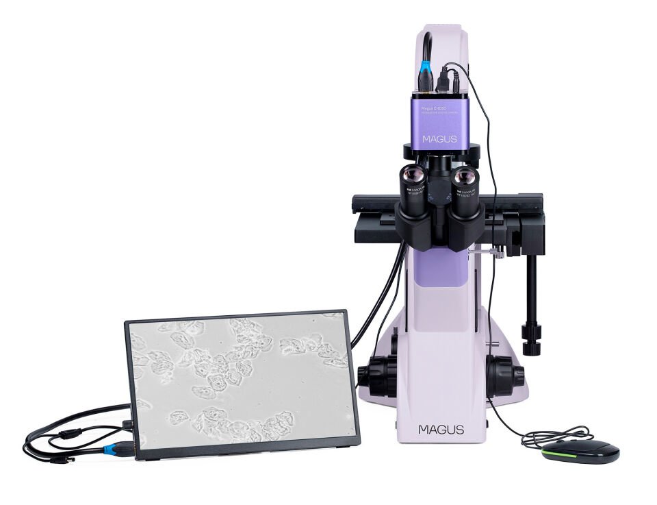 MAGUS Bio VD350 LCD Biyoloji İnverted Dijital Mikroskop