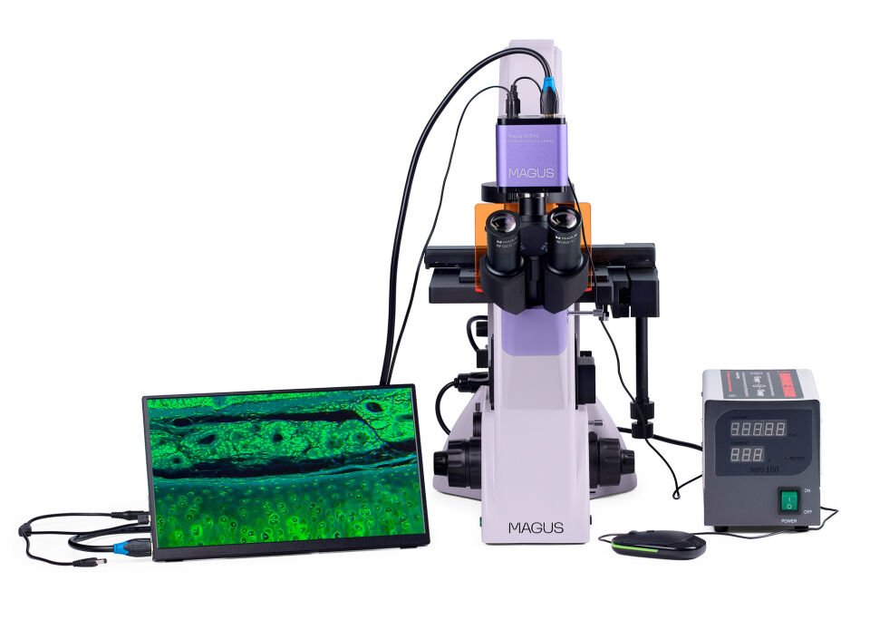 MAGUS Lum VD500 LCD Floresan İnverted Dijital Mikroskop