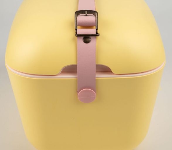 Polarbox Cooler 12 LT -Yellow Rose - Rainbow Buzluk